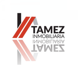 Melocotón Pincelada Trazo Fotografía Logotipo (7)